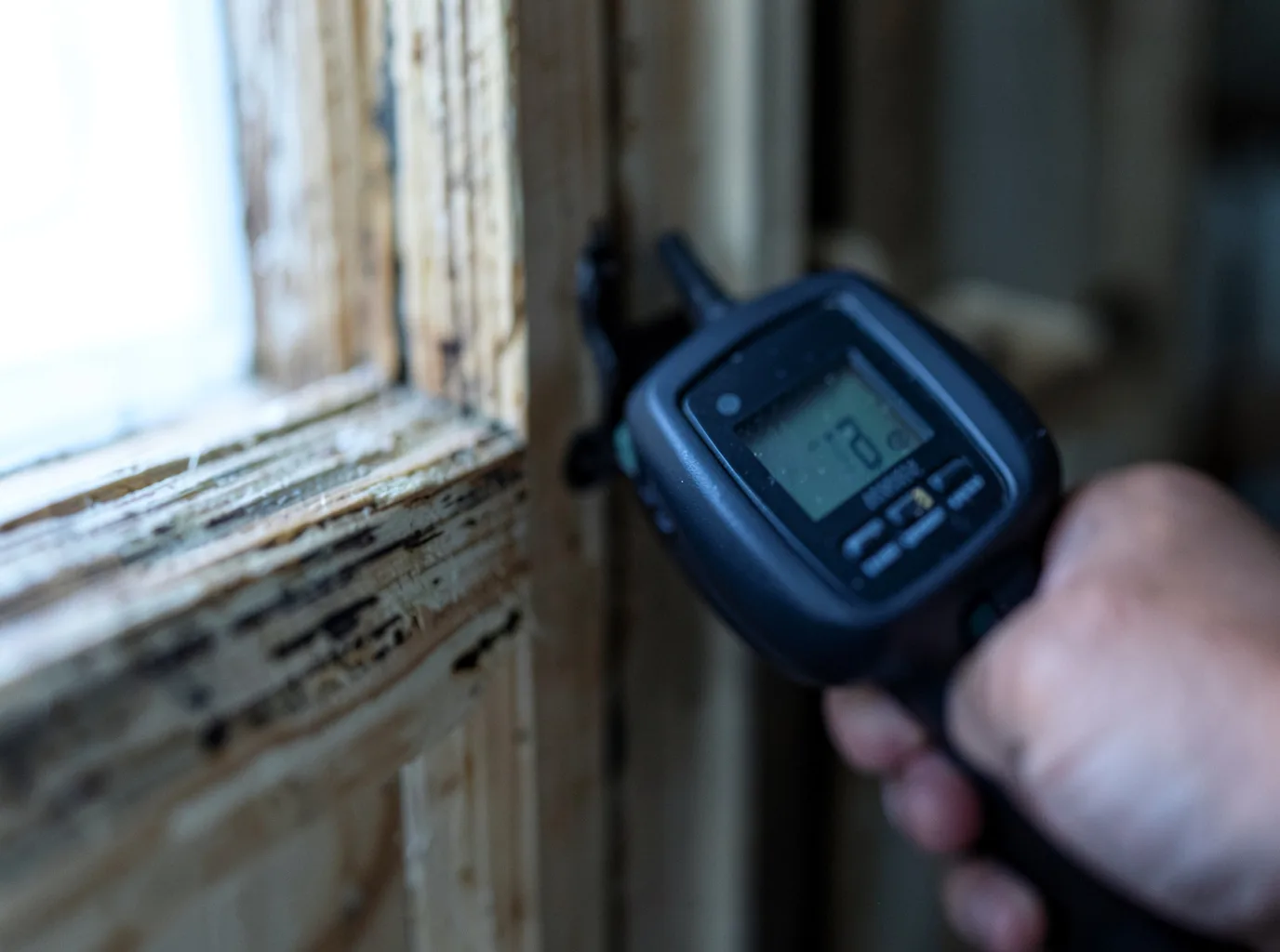Moisture Inspection And Documentation in Leonard, ND